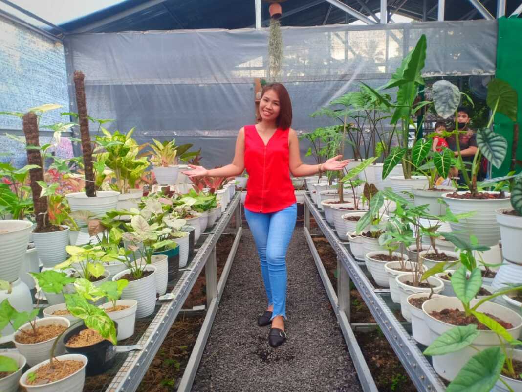 Luar Biasa! UMKM Ini Bisa Ekspor Tanaman Hias ke Eropa-Amerika Senilai Rp2,3 T